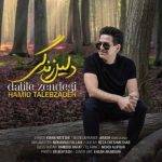 حمید طالب زاده - دلیل زندگی